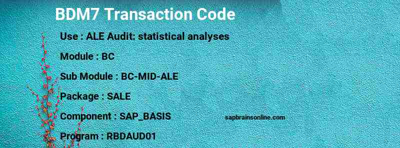 SAP BDM7 transaction code