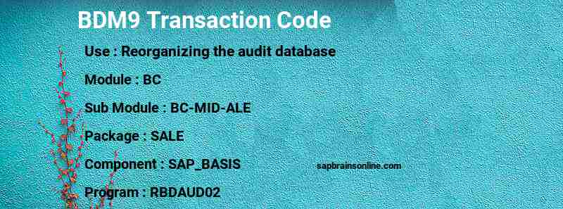 SAP BDM9 transaction code