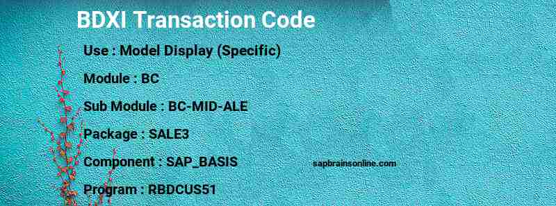 SAP BDXI transaction code