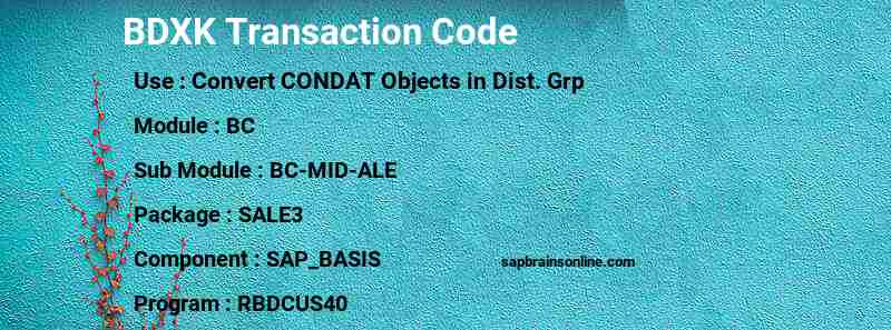 SAP BDXK transaction code
