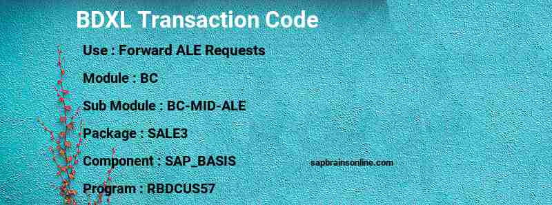 SAP BDXL transaction code