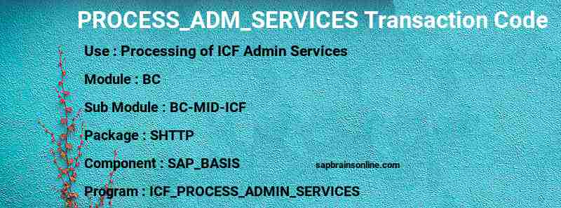 SAP PROCESS_ADM_SERVICES transaction code