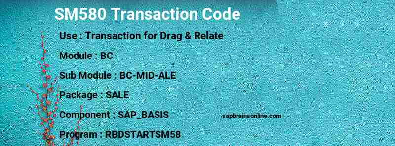 SAP SM580 transaction code