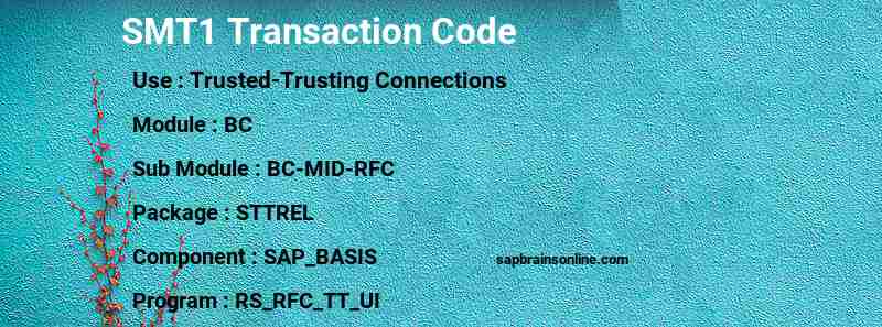 SAP SMT1 transaction code
