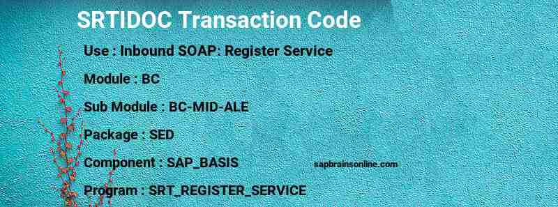 SAP SRTIDOC transaction code