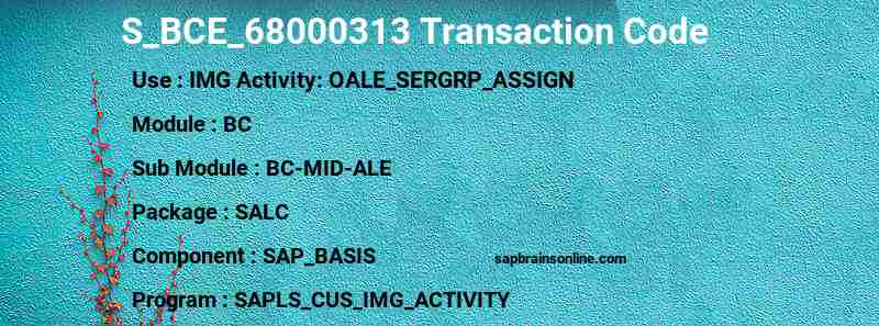 SAP S_BCE_68000313 transaction code