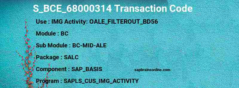 SAP S_BCE_68000314 transaction code