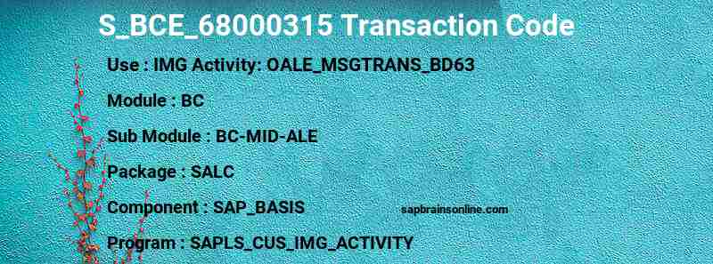 SAP S_BCE_68000315 transaction code