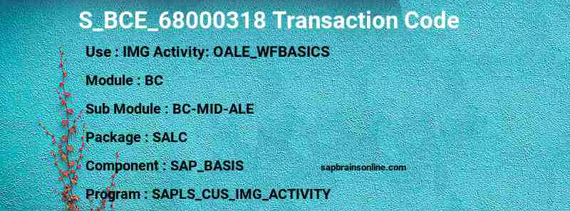SAP S_BCE_68000318 transaction code