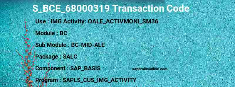 SAP S_BCE_68000319 transaction code