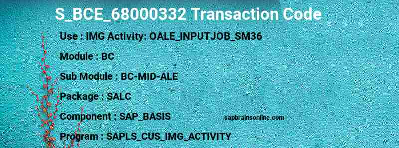 SAP S_BCE_68000332 transaction code