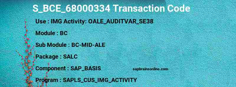 SAP S_BCE_68000334 transaction code