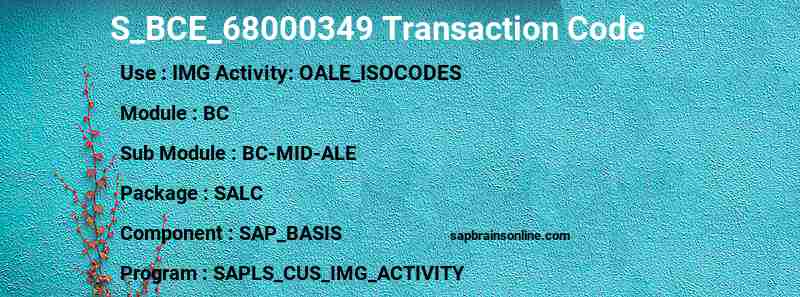 SAP S_BCE_68000349 transaction code
