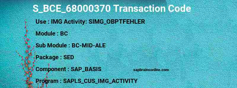SAP S_BCE_68000370 transaction code