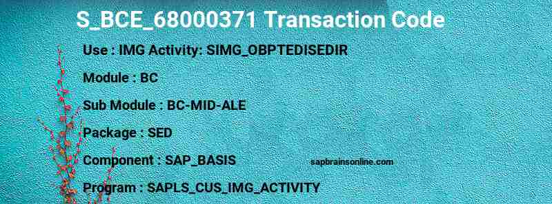 SAP S_BCE_68000371 transaction code