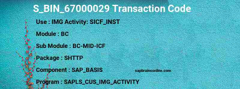 SAP S_BIN_67000029 transaction code