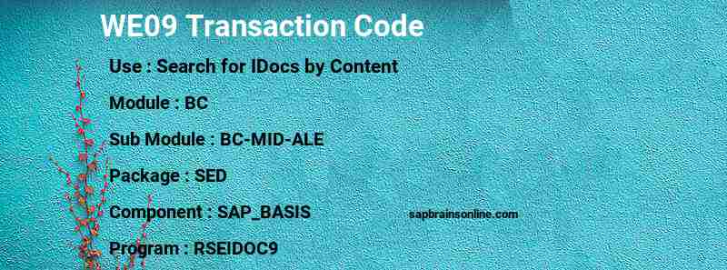 SAP WE09 transaction code