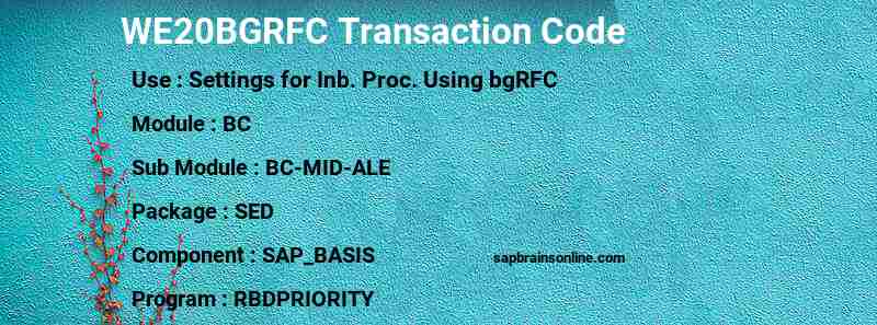 SAP WE20BGRFC transaction code