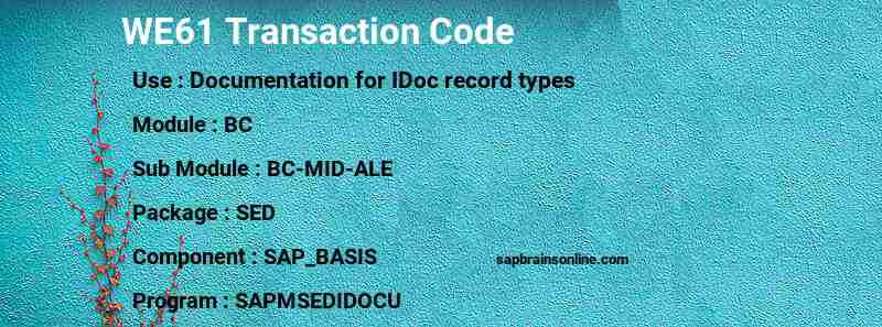 SAP WE61 transaction code