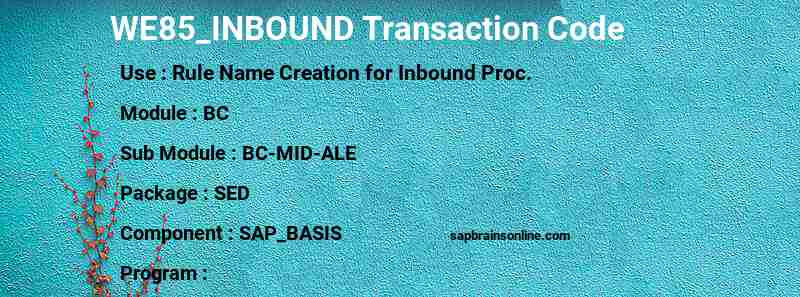SAP WE85_INBOUND transaction code