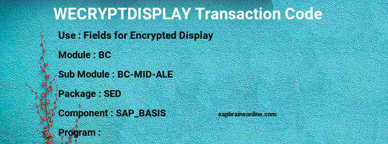 SAP WECRYPTDISPLAY transaction code
