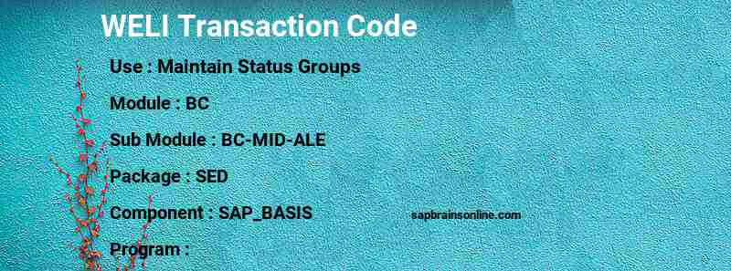 SAP WELI transaction code