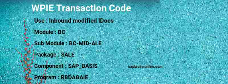 SAP WPIE transaction code