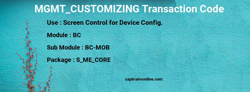 SAP MGMT_CUSTOMIZING transaction code