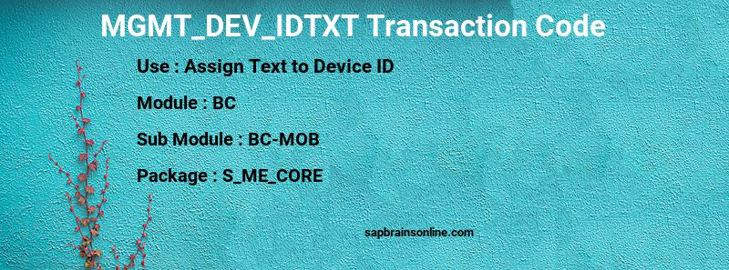 SAP MGMT_DEV_IDTXT transaction code