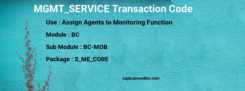 SAP MGMT_SERVICE transaction code