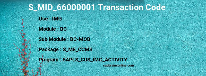 SAP S_MID_66000001 transaction code