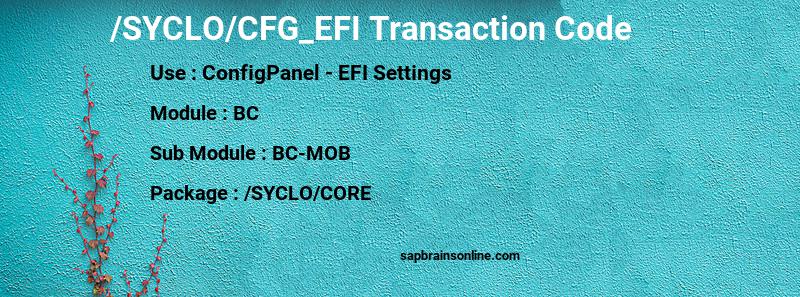 SAP /SYCLO/CFG_EFI transaction code