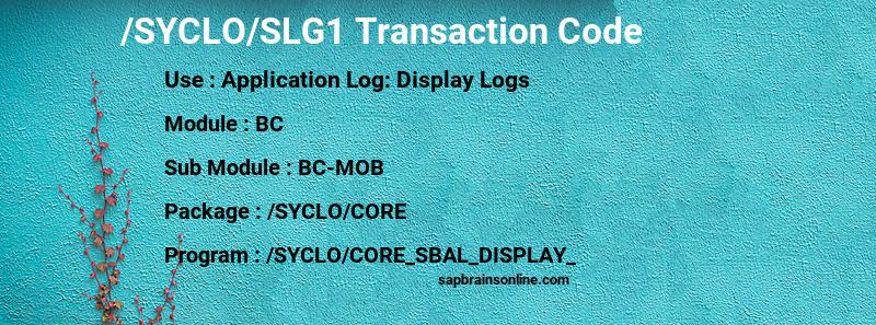 SAP /SYCLO/SLG1 transaction code