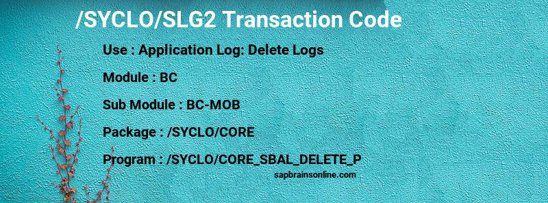 SAP /SYCLO/SLG2 transaction code