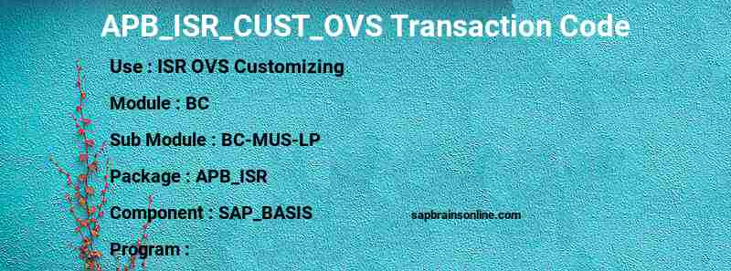 SAP APB_ISR_CUST_OVS transaction code
