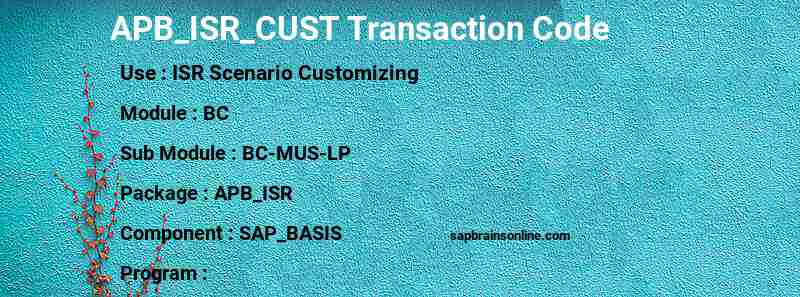 SAP APB_ISR_CUST transaction code