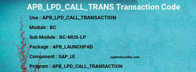 SAP APB_LPD_CALL_TRANS transaction code