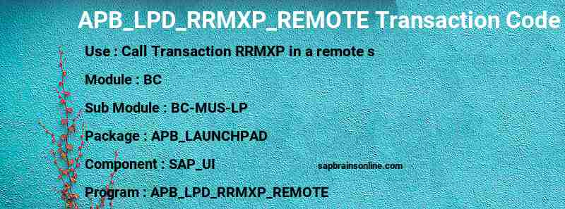 SAP APB_LPD_RRMXP_REMOTE transaction code