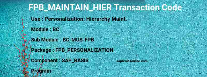SAP FPB_MAINTAIN_HIER transaction code