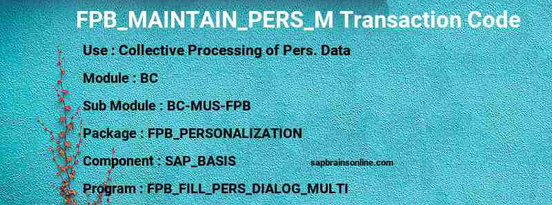 SAP FPB_MAINTAIN_PERS_M transaction code