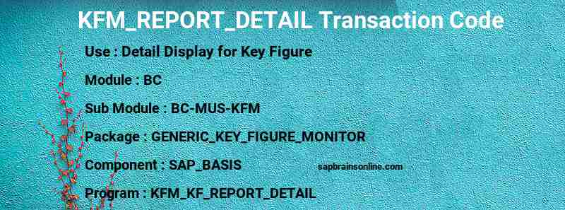 SAP KFM_REPORT_DETAIL transaction code