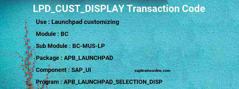 SAP LPD_CUST_DISPLAY transaction code