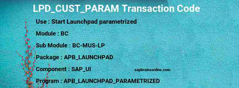 SAP LPD_CUST_PARAM transaction code
