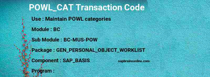 SAP POWL_CAT transaction code