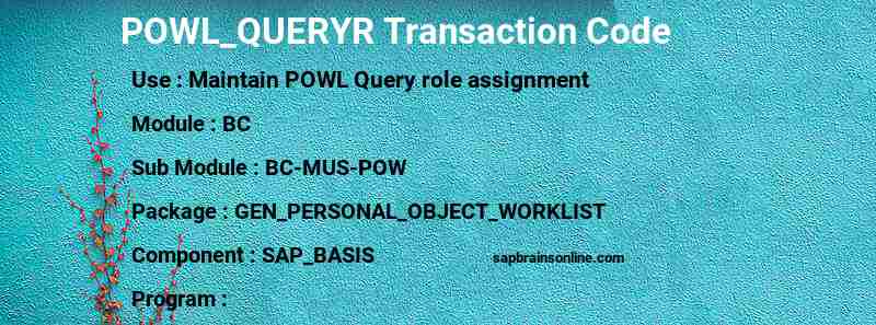 SAP POWL_QUERYR transaction code