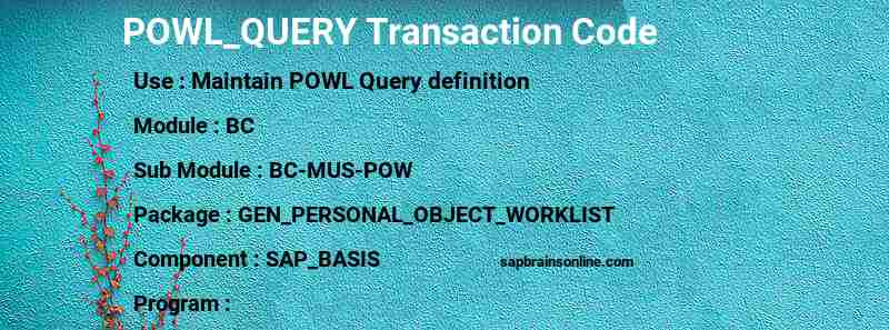 SAP POWL_QUERY transaction code