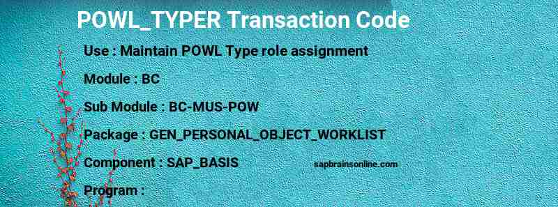 SAP POWL_TYPER transaction code