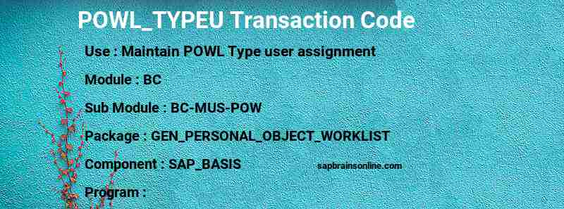 SAP POWL_TYPEU transaction code