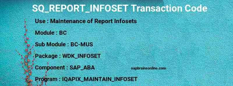 SAP SQ_REPORT_INFOSET transaction code