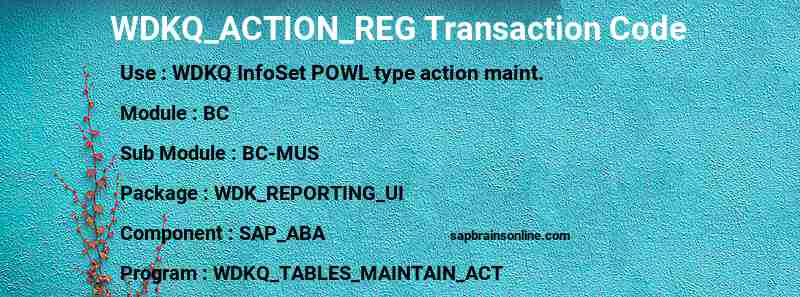 SAP WDKQ_ACTION_REG transaction code
